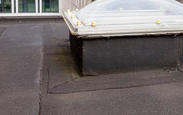 disadvantages of Panks Bridge flat roofs